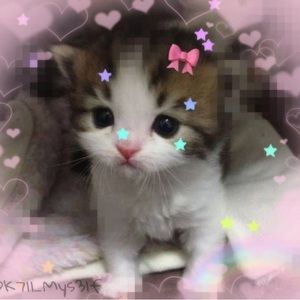 Meet your Posher, Julieta